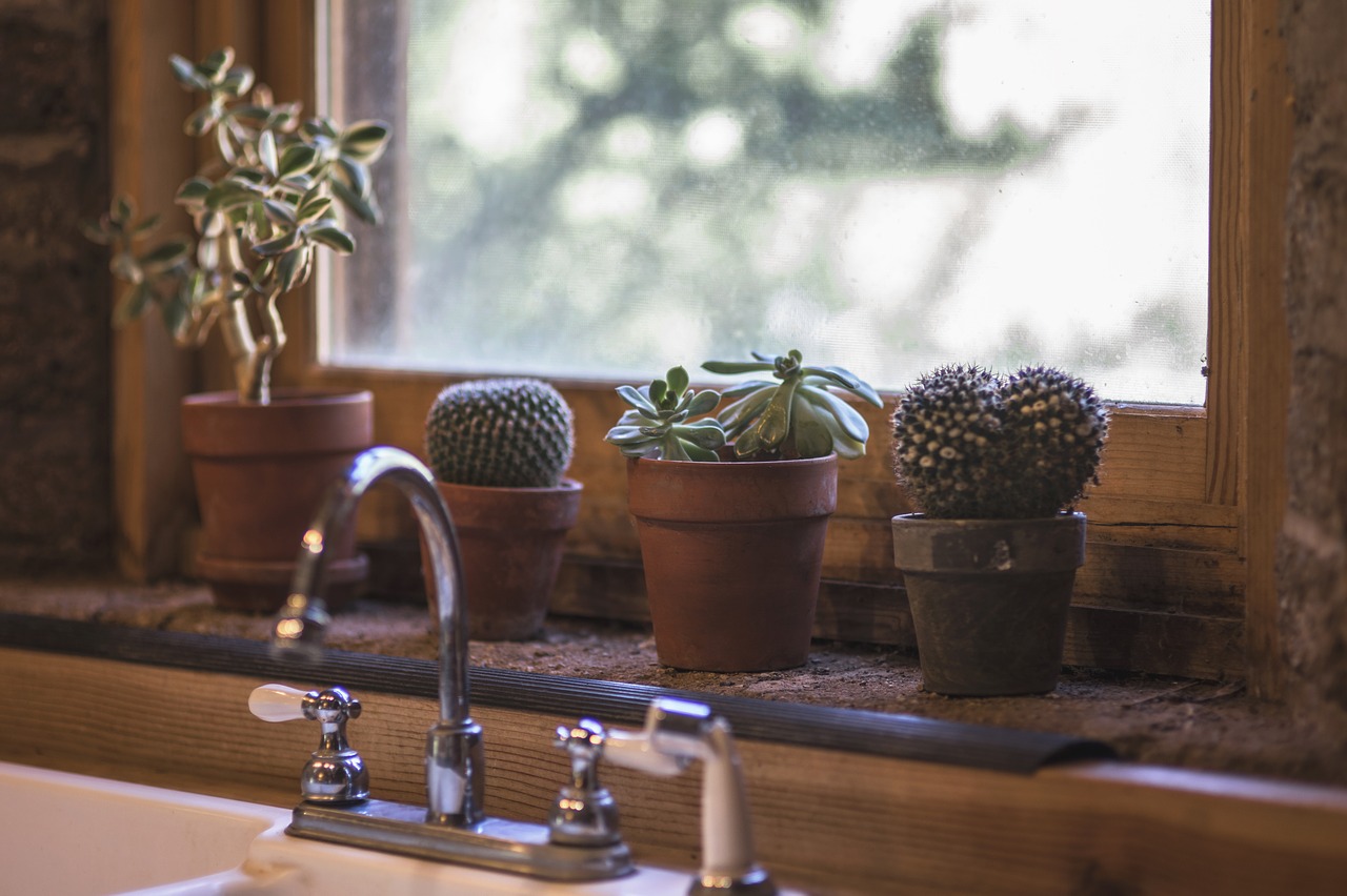 faucet-with-cactus